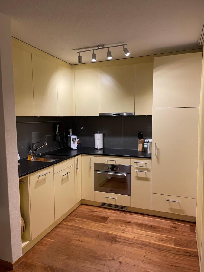 Efibach 41 Apartment Silenen
